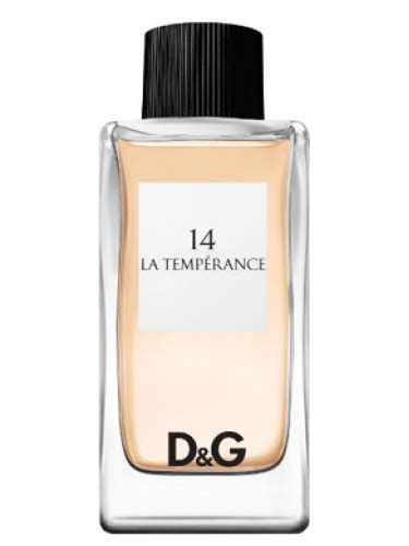 dolce gabbana tarot|D&G Anthology La Temperance 14 Dolce&Gabbana for women.